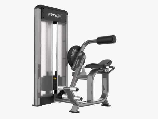 Комбинированный пресс машина / разгибатель спины Fitex Pro FTX-5508F от магазина Perfect Trainers