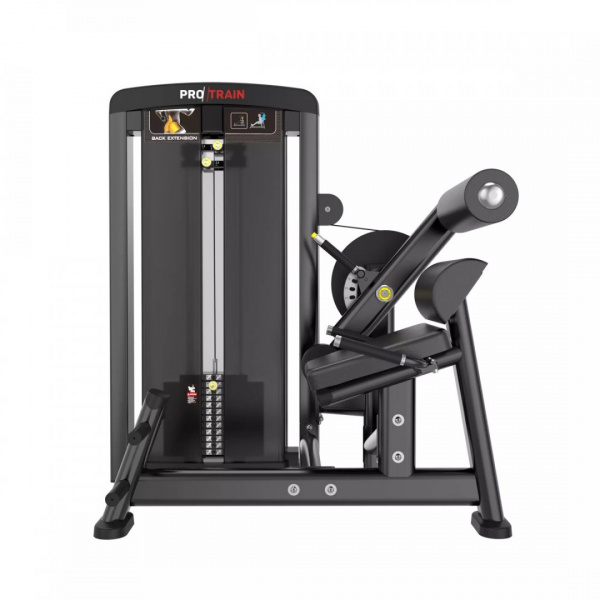Разгибание спины Protrain LFS118 от магазина Perfect Trainers