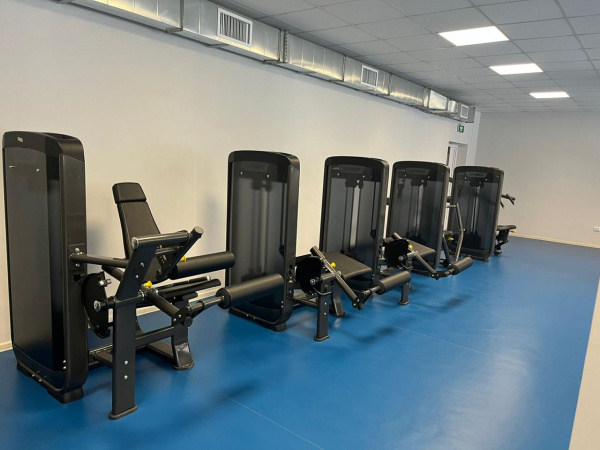 Сгибание ног лежа Spirit Fitness SP-3514 от магазина Perfect Trainers