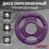 Диск Олимпийский 1,25 кг обрезиненный цветной с ручками Fitex Pro LC-1.25