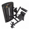 Разгибание спины Protrain LFS118 от магазина Perfect Trainers