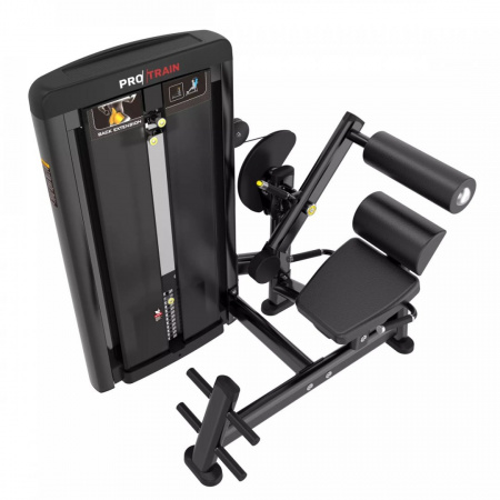 Разгибание спины Protrain LFS118 от магазина Perfect Trainers