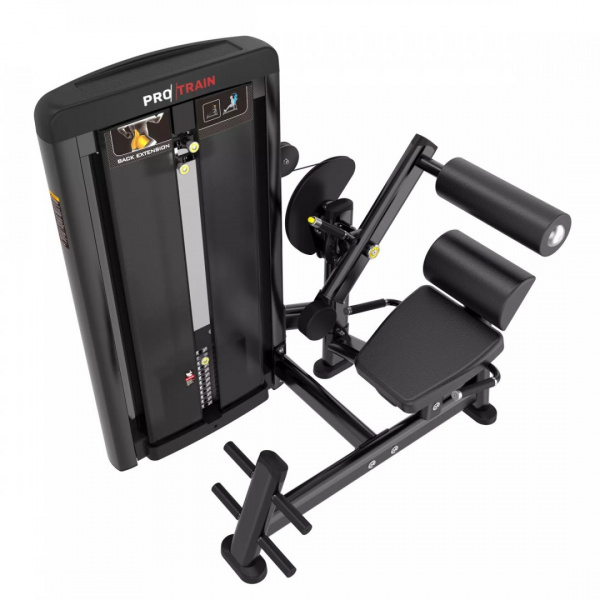 Разгибание спины Protrain LFS118 от магазина Perfect Trainers