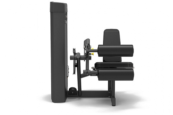 Сгибание ног сидя Spirit Fitness SP-4306 от магазина Perfect Trainers