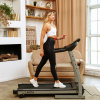 Беговая дорожка DFC LaVita T350 от магазина Perfect Trainers