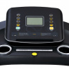 Беговая дорожка Royal Fitness RF-6 от магазина Perfect Trainers