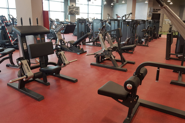 Сгибание ног стоя Spirit Fitness SP-4512 от магазина Perfect Trainers