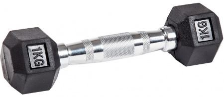 Гантель неразборная гексагональная VF-H010 (1 кг) от магазина Perfect Trainers