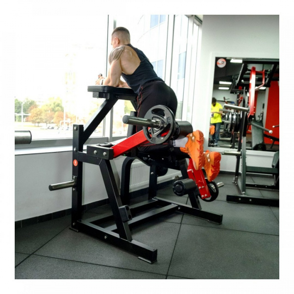 Сгибание ног стоя на свободных весах Protrain PP166 от магазина Perfect Trainers