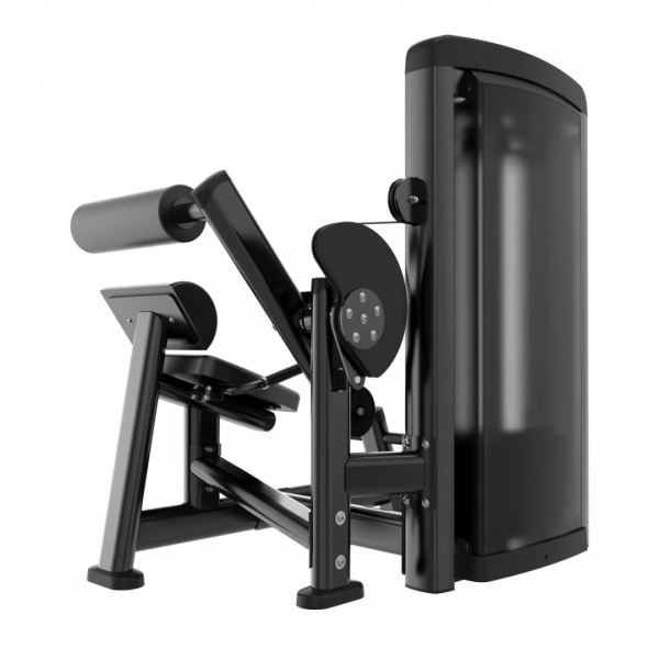 Разгибание спины Protrain LFS118 от магазина Perfect Trainers