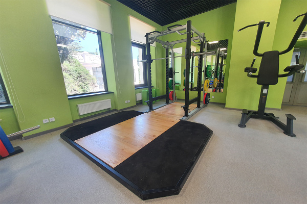 Тренажер турник брусья пресс Spirit Fitness SP-4219 от магазина Perfect Trainers