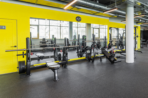 Олимпийская скамья для жима под углом Spirit Fitness SP-4210 от магазина Perfect Trainers