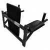 Брусья настенные DFC Homegym G294 от магазина Perfect Trainers