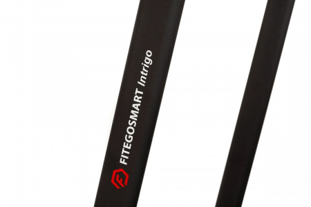 Беговая дорожка Fitegosmart Intrigo от магазина Perfect Trainers