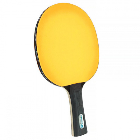 Ракетка Donic Color Z Yellow от магазина Perfect Trainers