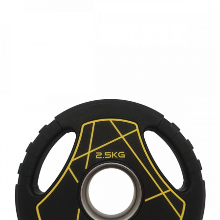 Диск Олимпийский 2.5 кг полиуретановый с ручками Fitex Pro LP-2,5 от магазина Perfect Trainers