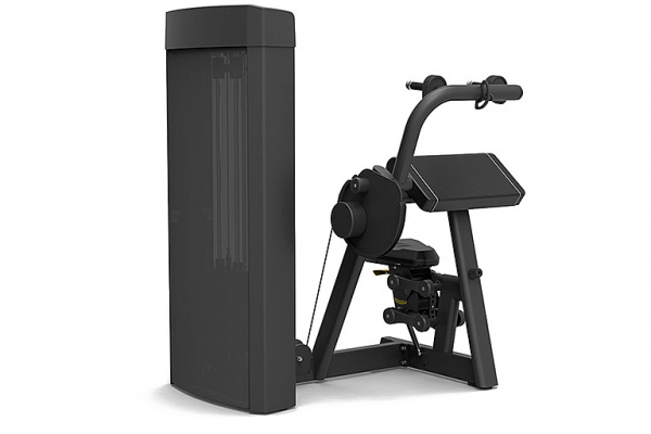 Трицепс Spirit Fitness SP-4308 от магазина Perfect Trainers