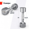 Гантель Unix Fit Pro круглая хромированная 2 кг, 2 шт. от магазина Perfect Trainers