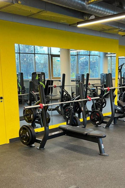 Олимпийская горизонтальная скамья Spirit Fitness SP-4209 от магазина Perfect Trainers